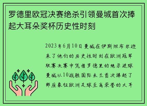 罗德里欧冠决赛绝杀引领曼城首次捧起大耳朵奖杯历史性时刻 罗德里欧冠决赛绝杀引领曼城首次捧起大耳朵奖杯历史性时刻